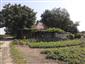 užovka hladká (10.6.2013)